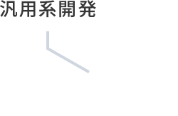 汎用系開発 11.2%